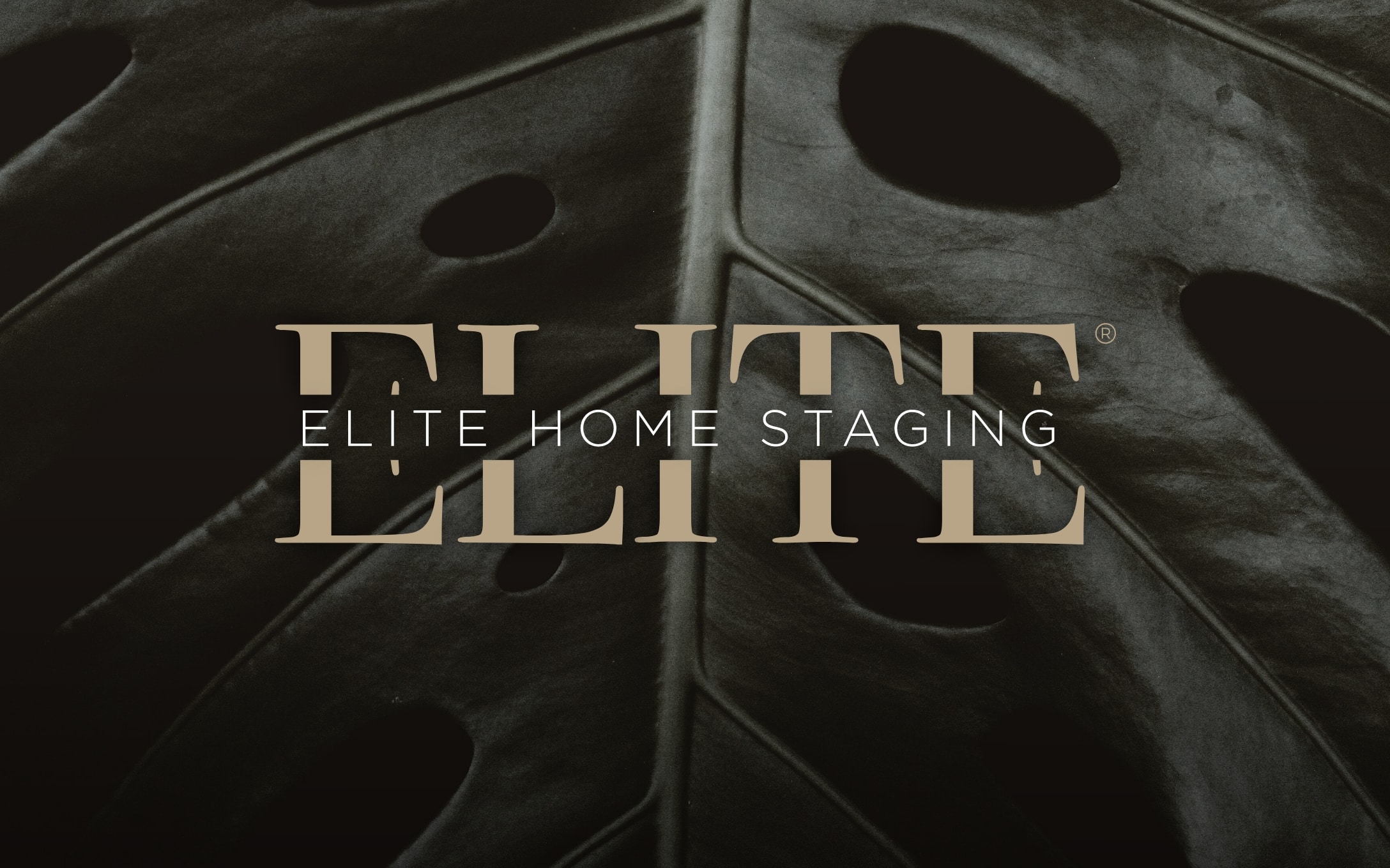 Elite Home Staging Miami